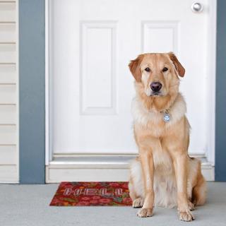 Northix Fußmatte Kokosfaser "Hello" mit Blumen  