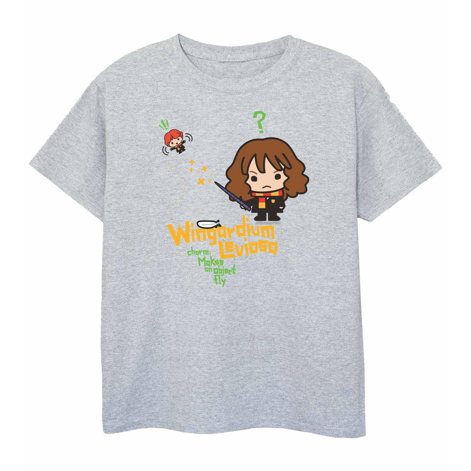 Image of Wingardium Leviosa Tshirt Unisex Grau 104
