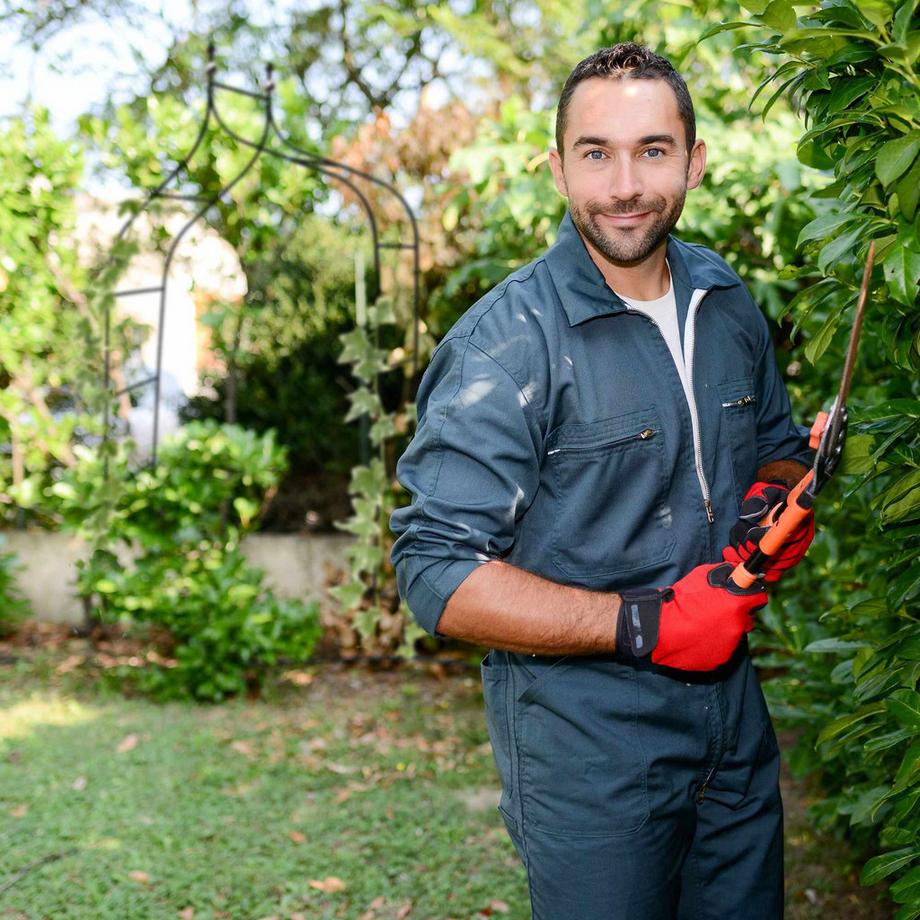 B2X Pizzo fiocco rosa con palline  