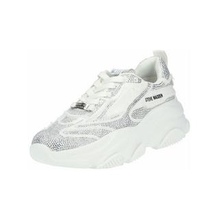 STEVE MADDEN  Sneaker Park Ave-R SM19000107 