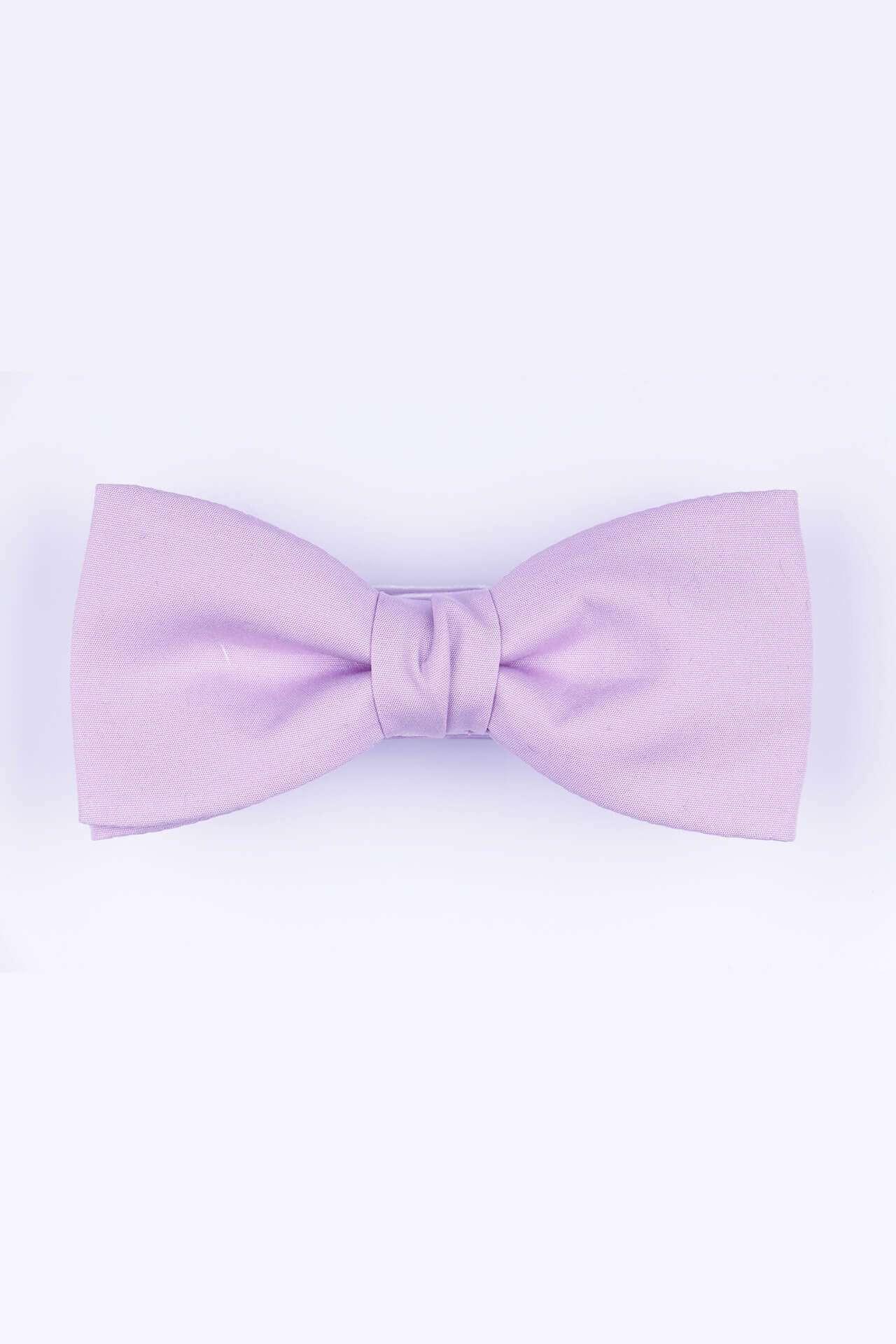 Image of Schlichte Fliege Aus Baumwolle Herren Violett ONE SIZE