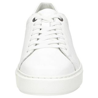 Sioux  Sneaker Tils sneaker 003 