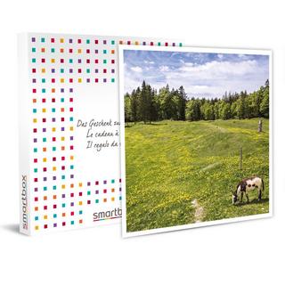 Smartbox  Au cœur du Jura vaudois : une balade à dos d'âne d'une journée pour 2 personnes - Coffret Cadeau 