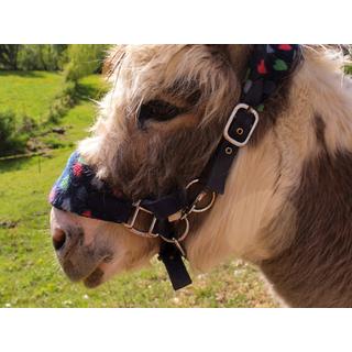 Smartbox  Au cœur du Jura vaudois : une balade à dos d'âne d'une journée pour 2 personnes - Coffret Cadeau 