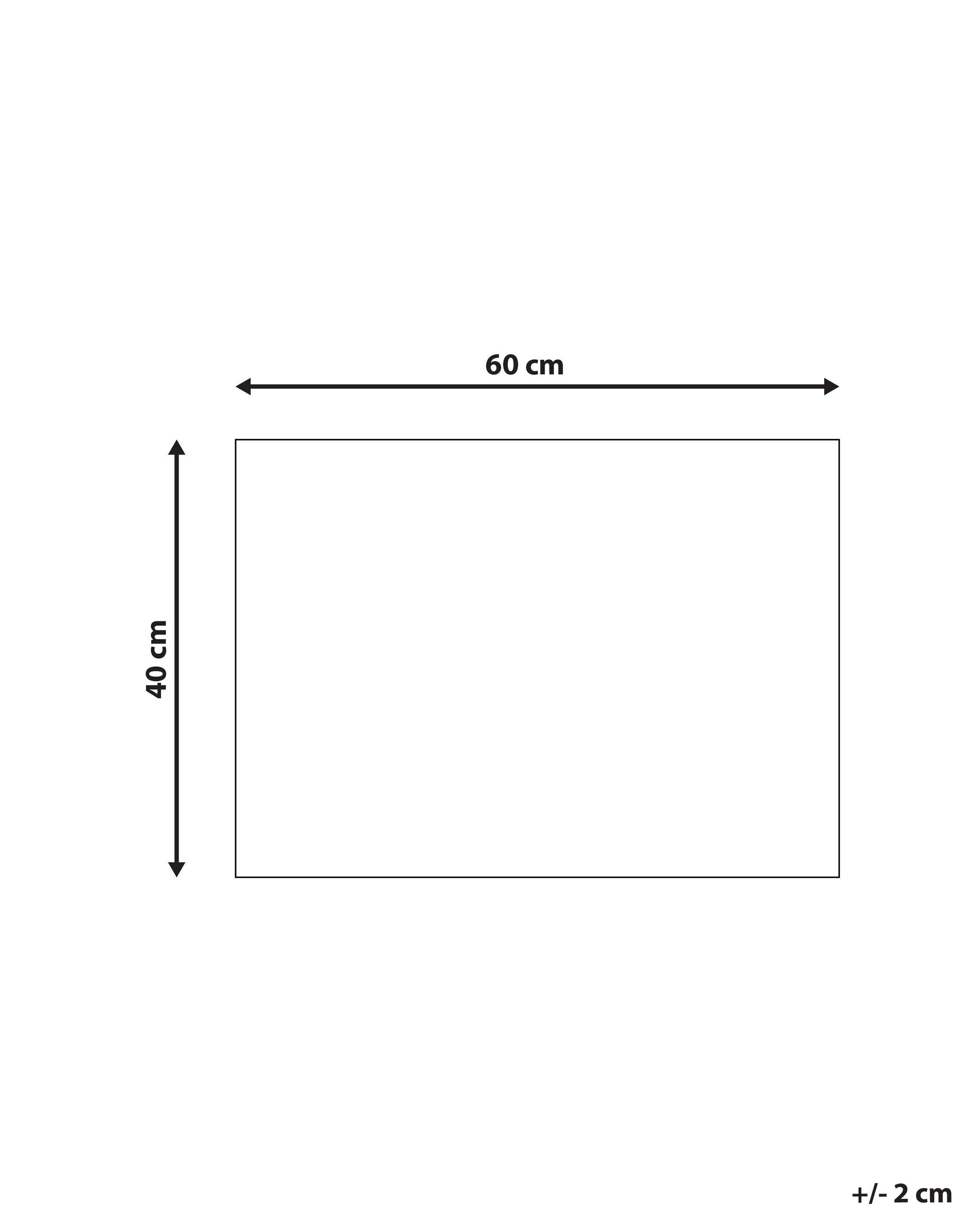 Beliani Fussmatte aus Kokosfasern Modern ASIR  