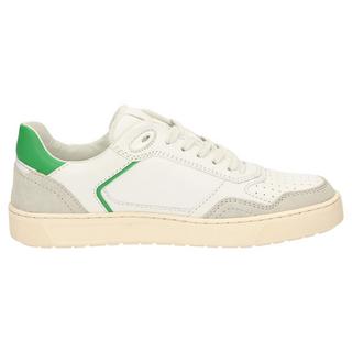 Sioux  Sneaker Tedroso-DA-700 