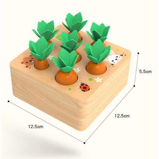 Activity-board  Jeu de tri en bois puzzle carotte récolte | 