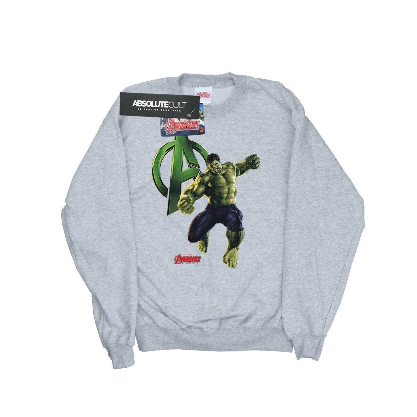 Image of Hulk Pose Sweatshirt Damen Grau XL