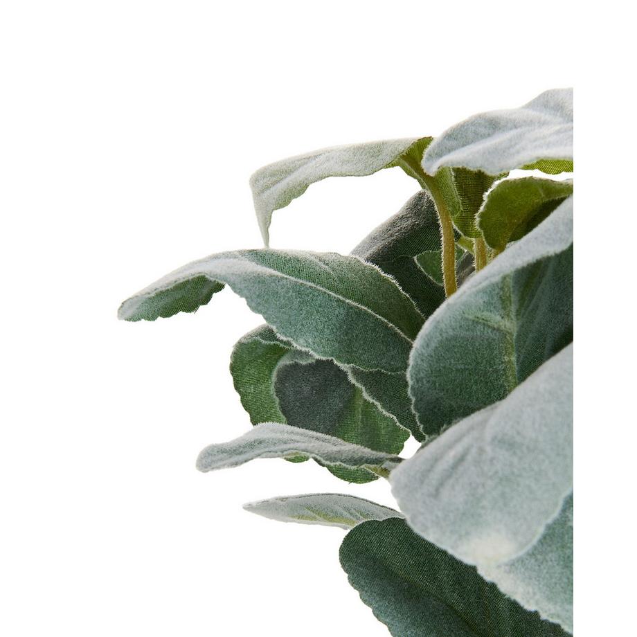 Beliani Plante artificielle en Matière synthétique Rétro PEPEROMIA ARGYREIA  