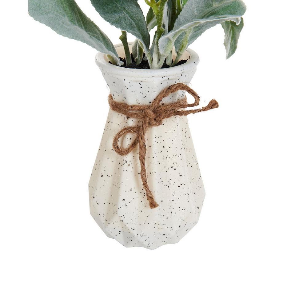 Beliani Plante artificielle en Matière synthétique Rétro PEPEROMIA ARGYREIA  