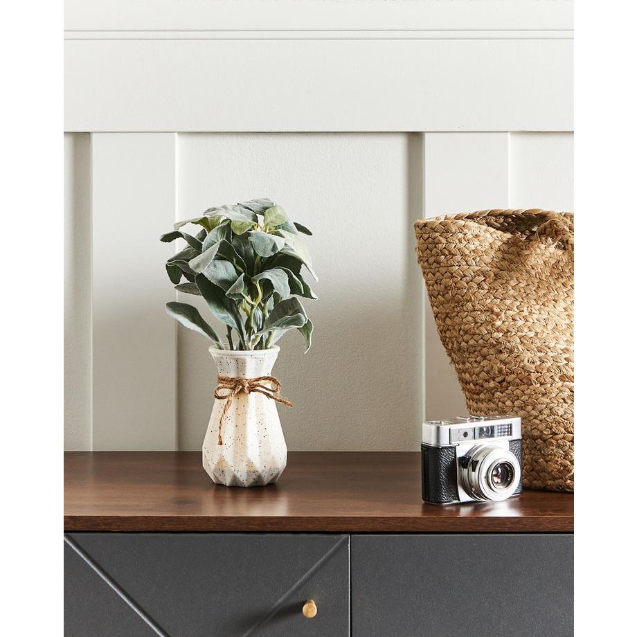 Beliani Plante artificielle en Matière synthétique Rétro PEPEROMIA ARGYREIA  