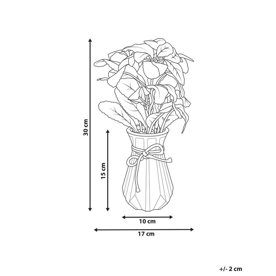 Beliani Plante artificielle en Matière synthétique Rétro PEPEROMIA ARGYREIA  