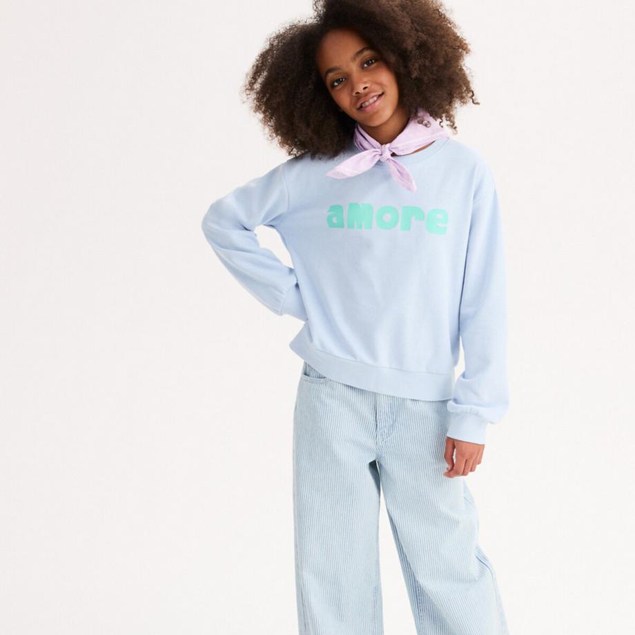 La Redoute Collections  Sweatshirt mit Rundhalsausschnitt aus Molton 