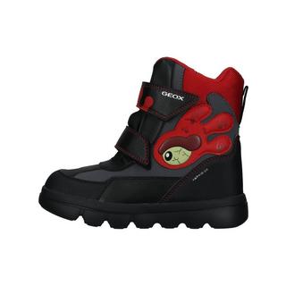 GEOX  Boots 