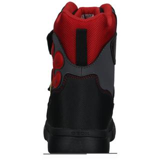 GEOX  Boots 