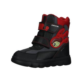 GEOX  Boots 