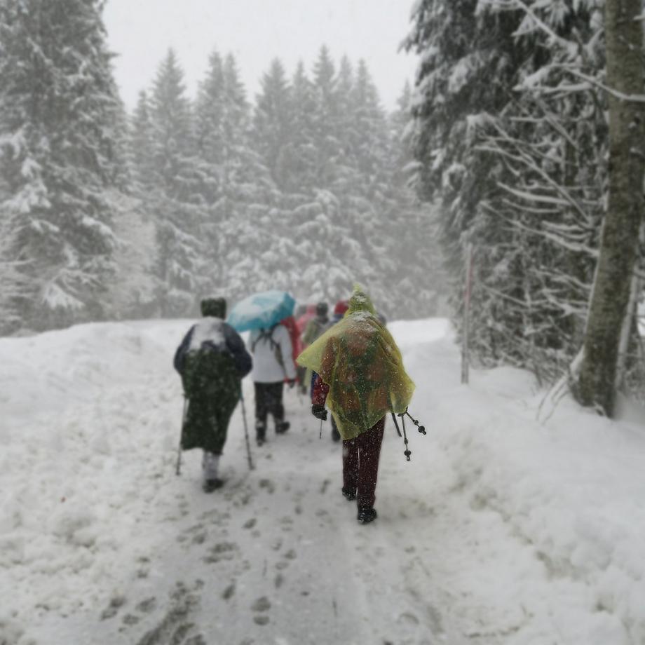 B2X  Einweg-Regenponcho, 20er-Set 