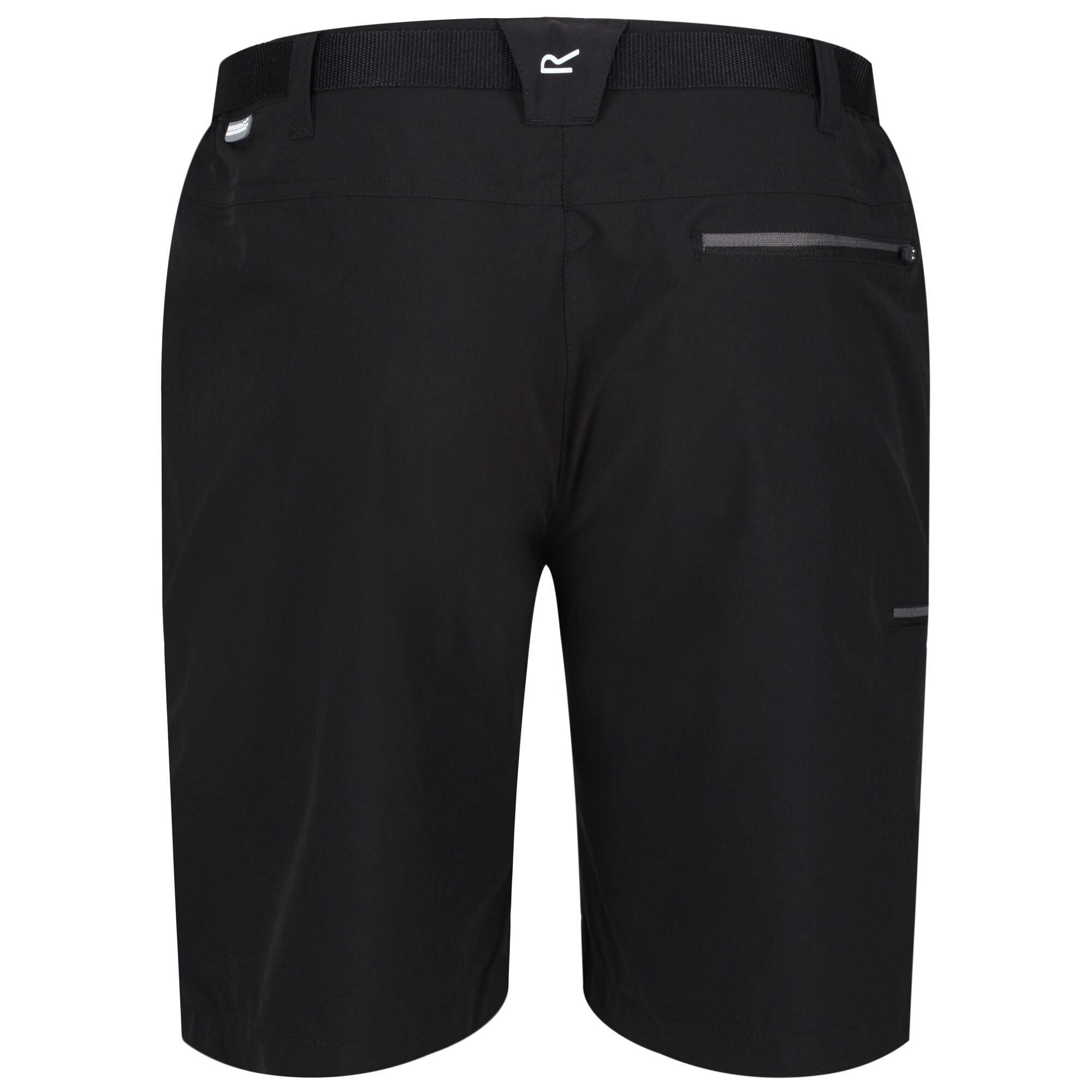 Regatta  Xert Stretch Shorts III-48 