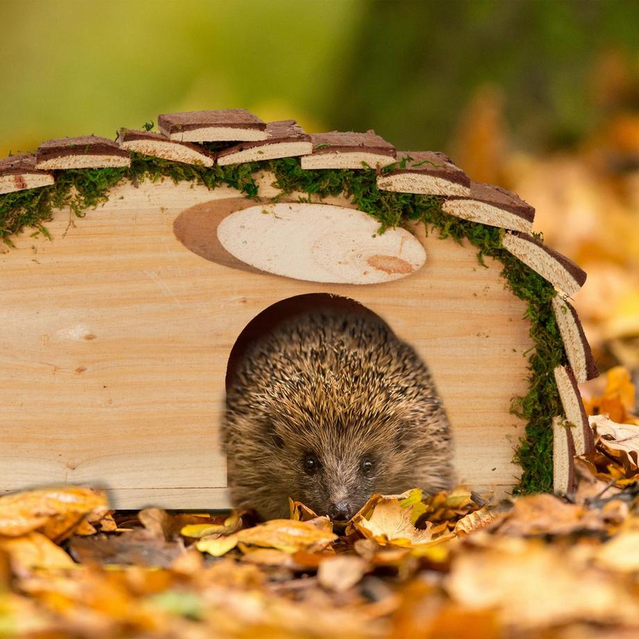 Northio  Igelhaus mit Boden 