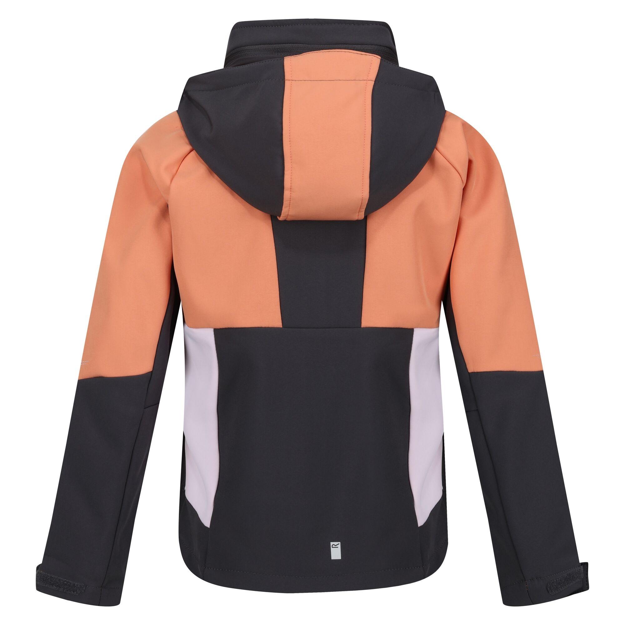 Regatta  Haydenbury Softshelljacke 