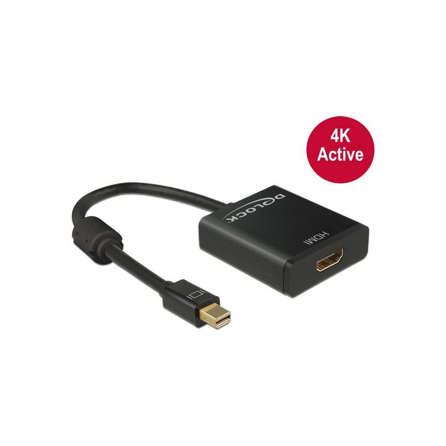 DeLock  Convertisseur 