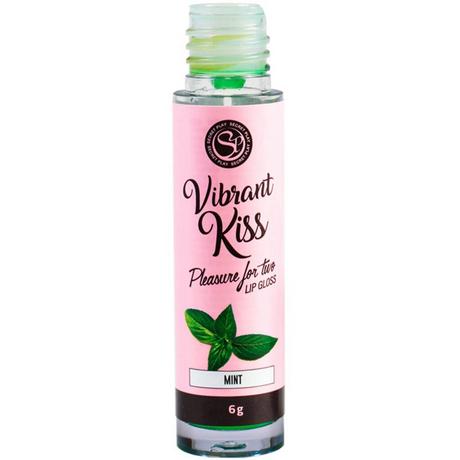 Secret Play  Mint Lip Gloss Vibrant Kiss 