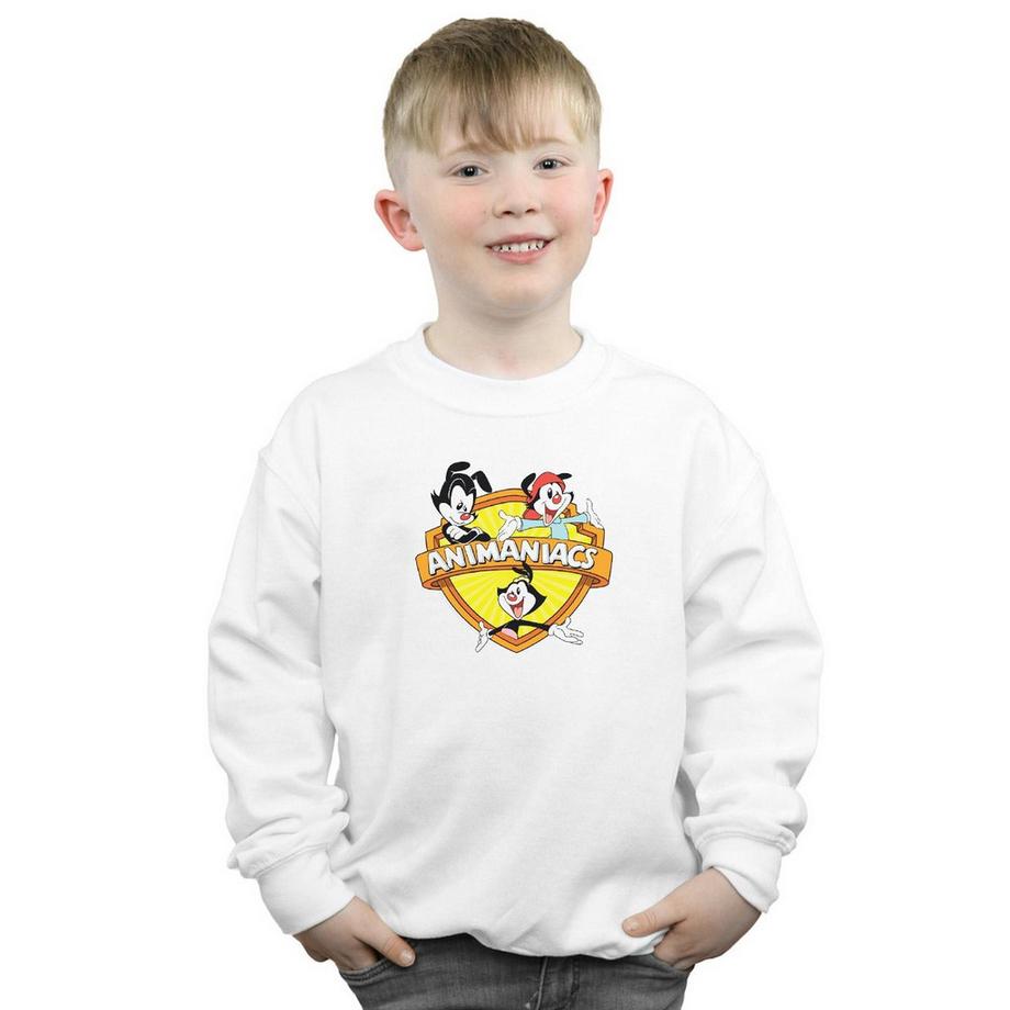 Animaniacs  Sweat 