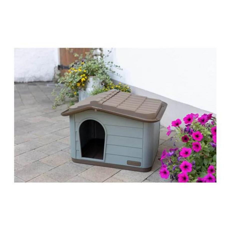 Kerbl  Kerbl Maison pour chats Paola Eco 