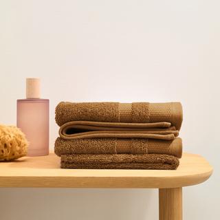 La Redoute Intérieurs Set mit 4 Gästehandtüchern aus ägyptischer Baumwolle 600g/m2  