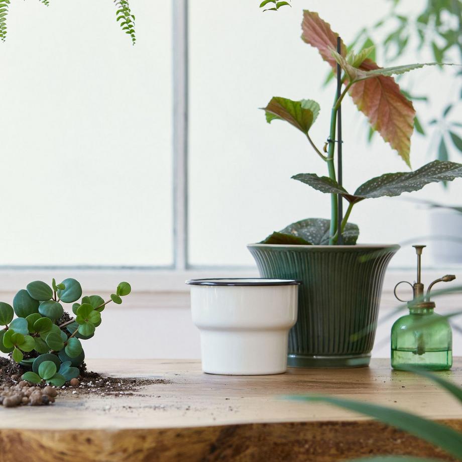 Northix Bastoncini per fiori da 60 cm in set da 50  