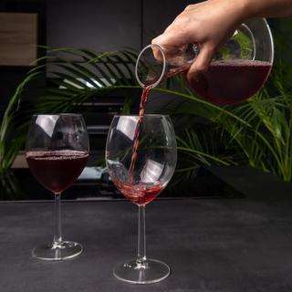 Intirilife Glas Karaffe  für Rotwein mit Reinigungsperlen  