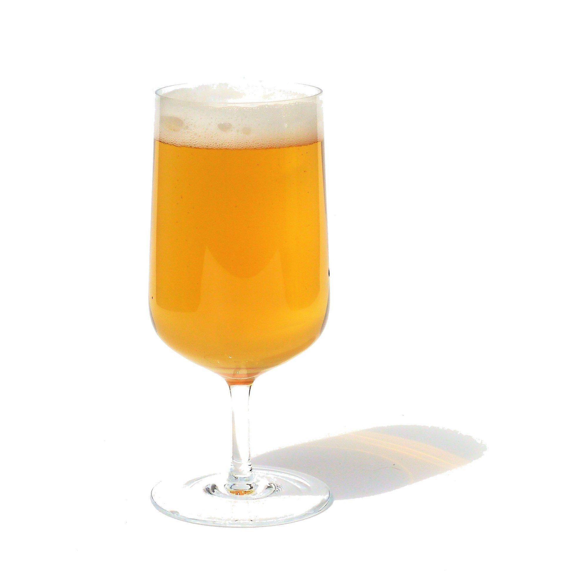 Blue Chilli Kristallglas Bier (Pils) 2er Set - in Geschenkbox  