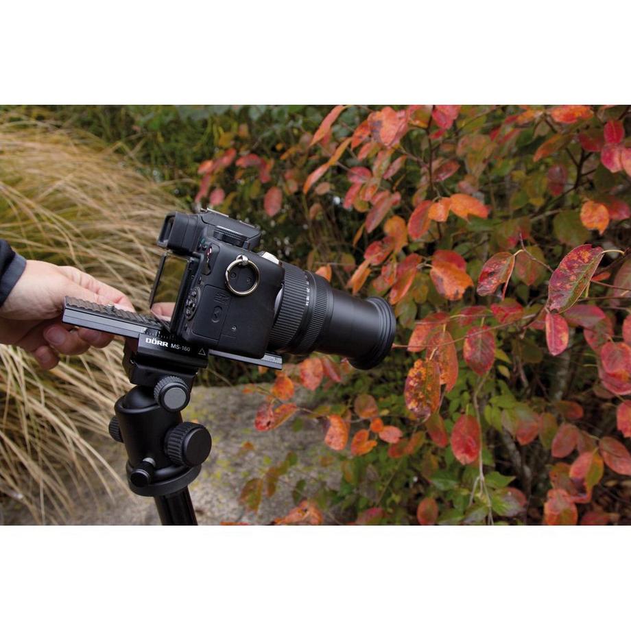 Dörr  Einstellschlitten 