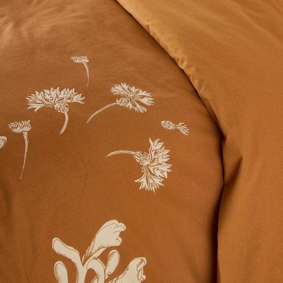 La Redoute Intérieurs Housse de couette coton  