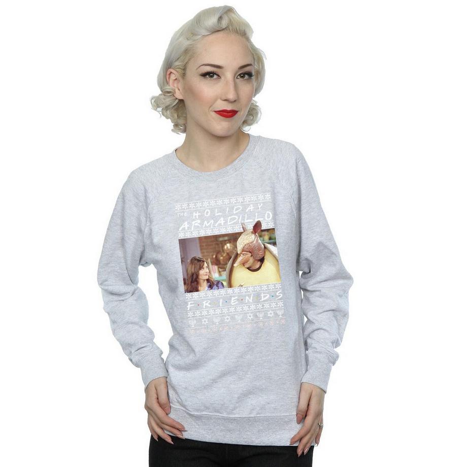 Friends Holiday Armadillo Sweatshirt  
