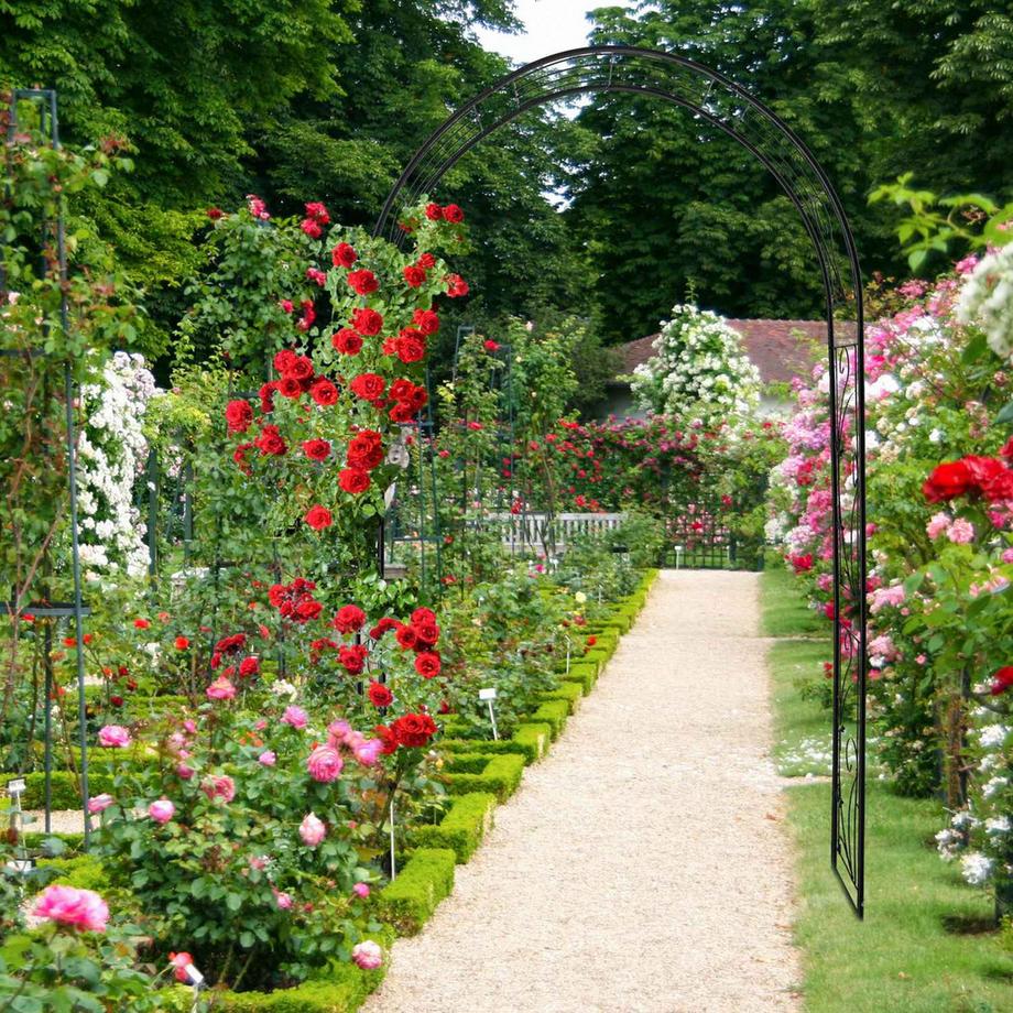 B2X Eiserner Rosenbogen  