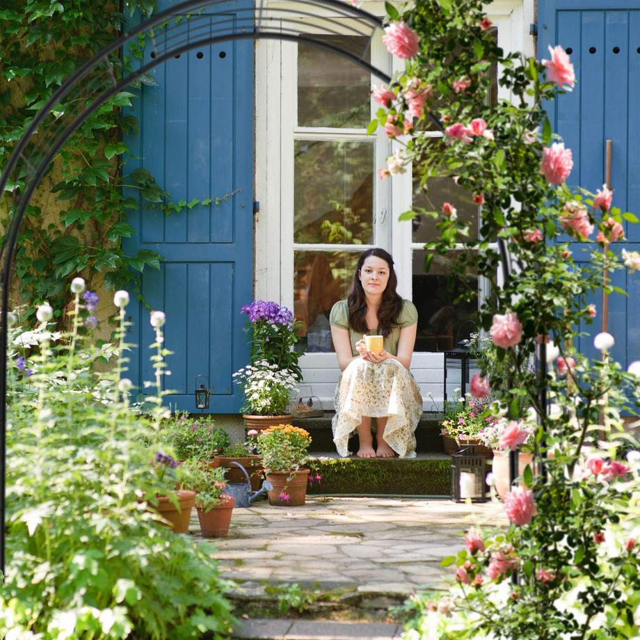 B2X Eiserner Rosenbogen  