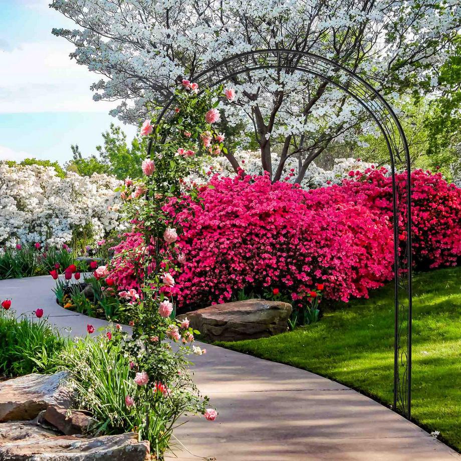 B2X Eiserner Rosenbogen  