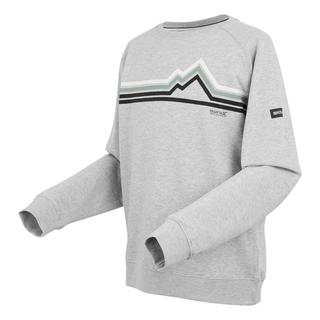 Regatta Nithsdale Rundhals Sweatshirt  