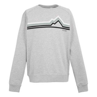 Regatta Nithsdale Rundhals Sweatshirt  
