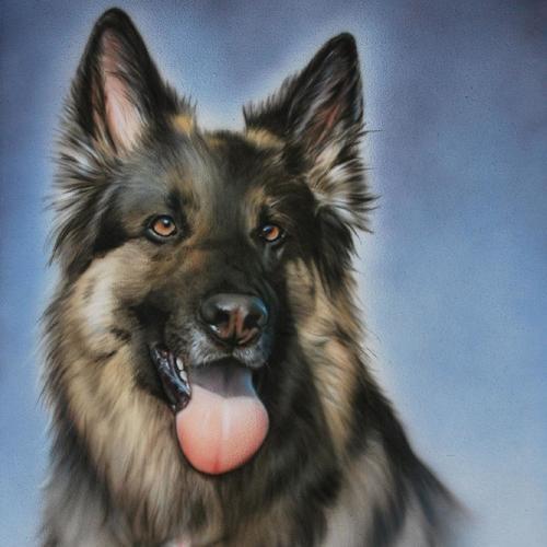 Image of Persönliches Airbrush-portrait Vom Europameister Unisex