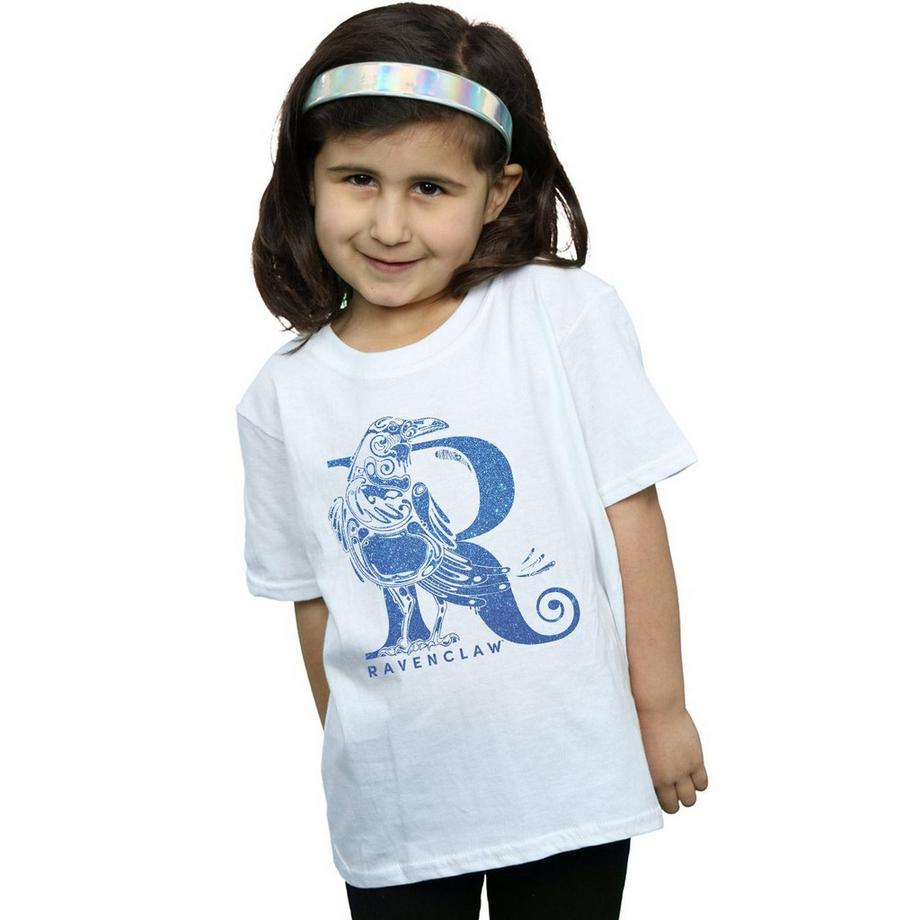 Harry Potter  Ravenclaw TShirt 