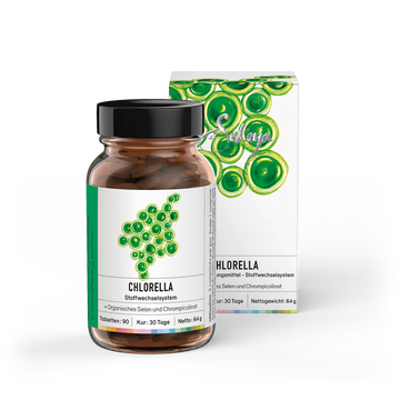 Chlorella | Entgiftet den Körper