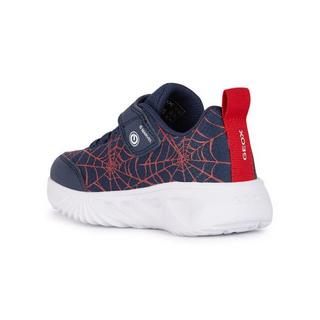 GEOX  Sneakers Assister 