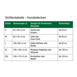 Doctor Bark  Doctor Bark coperta per cani chiaro 