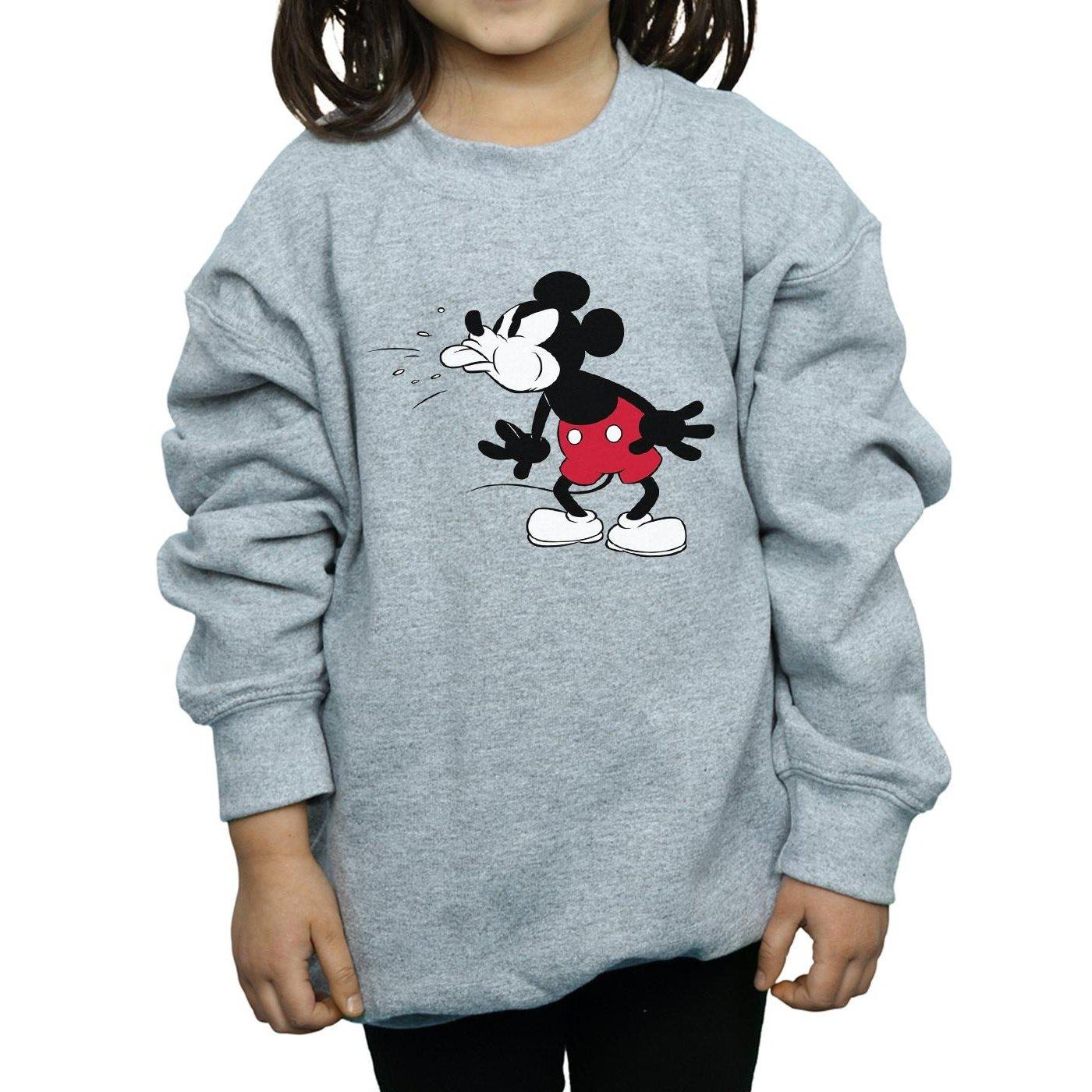 Disney  Sweatshirt 