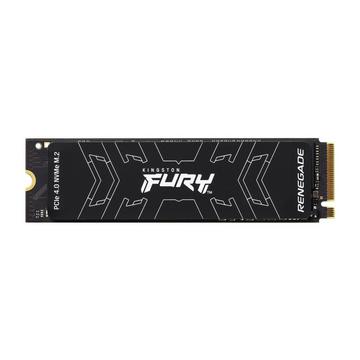 500G FURY RENEGADE M.2 2280 NVMe SSD