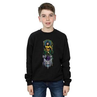 DC COMICS  Sweatshirt 