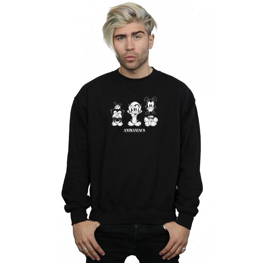 Animaniacs Three Evils Sweatshirt  