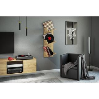 VCM Holz Wandregal | Wandboard mit drei großen Fächer | Platz für 100 Schallplatten | kann auch für Bücher verwendet werden | Maße: H. 106 x B. 33 x T. 26  
